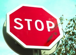 Traitement contre les puces de lit