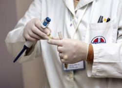 Comment se débarrasser des punaises de lit ?